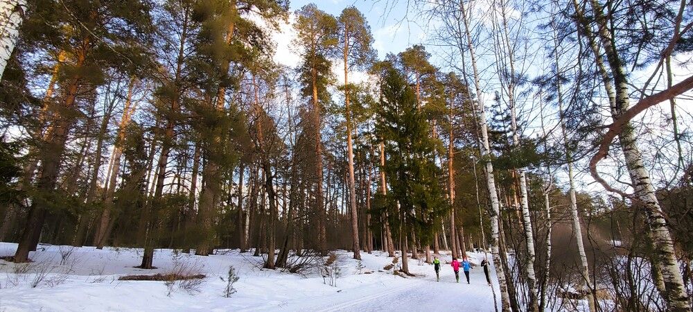 Photograph by Светлана Батурова