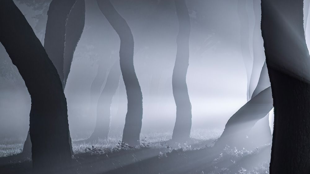 Dancing Trees