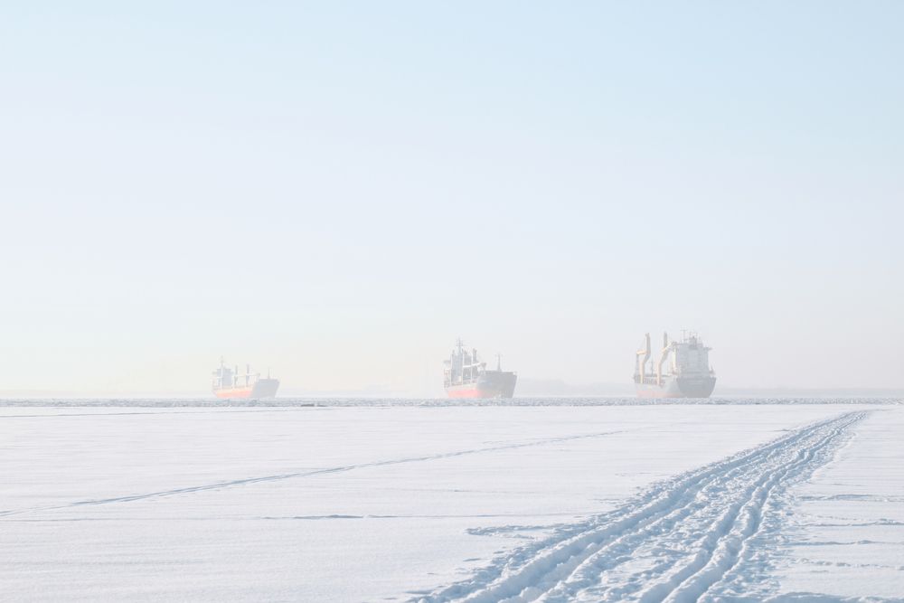 Фотография автора Вячеслав Митрофанов