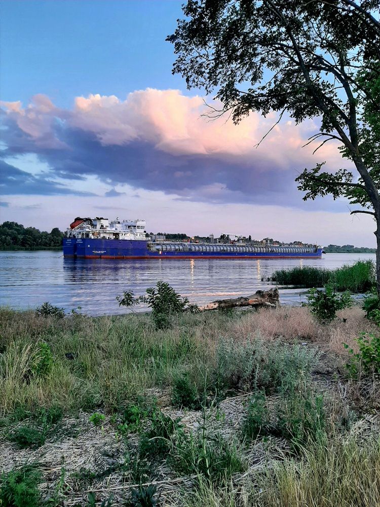 Фотография автора Наталья Гаврилова