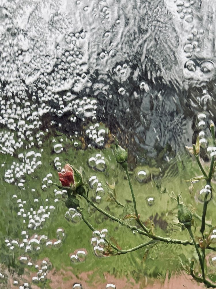 Photograph by Alexandra Ivanchikova