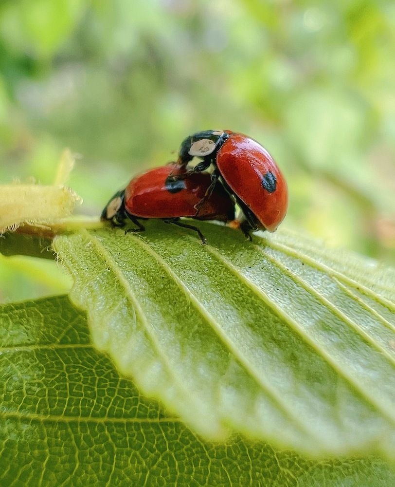 Photograph by Татьяна Волохова