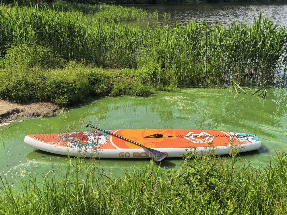 Photograph by Елена Охапкина