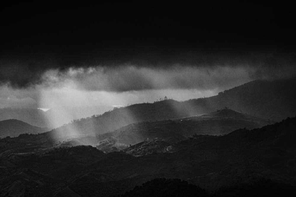 Photograph by Ngọc Hiếu Bùi
