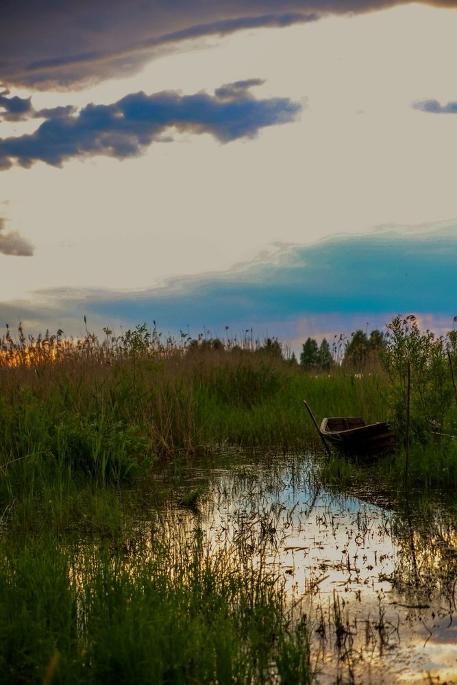 Фотография автора ОЛЬГА БУЛЫЧЕВА
