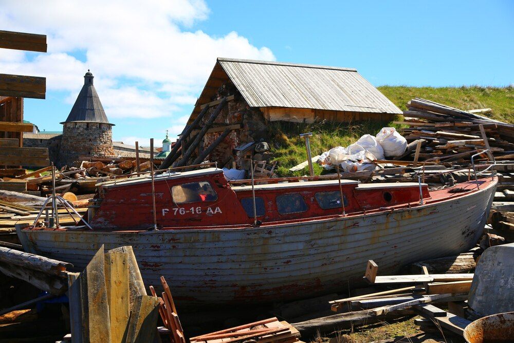 Фотография автора ОЛЬГА БУЛЫЧЕВА