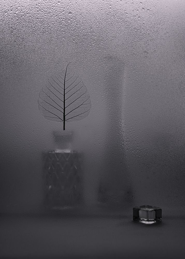 Photograph by Кулишев Николай