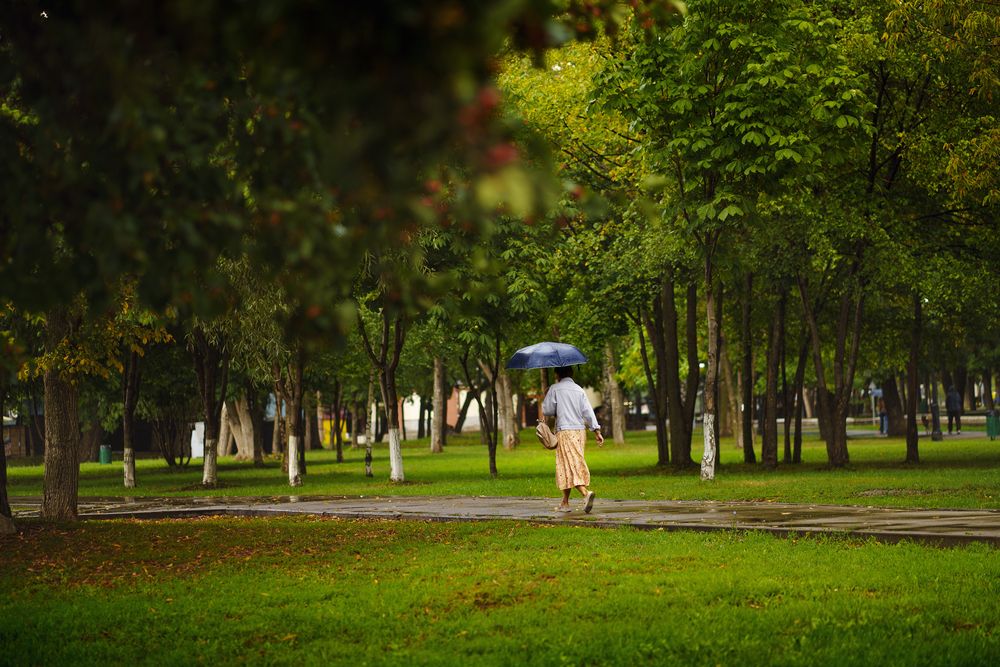 Photograph by Кулишев Николай