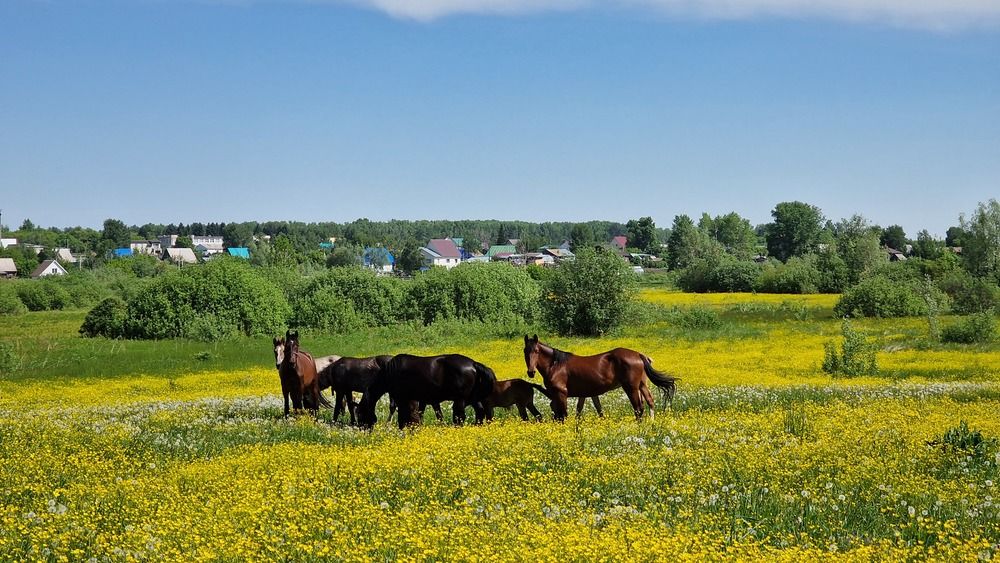 Photograph by Дарья Агапова
