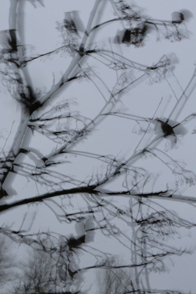 Photograph by Денис Сапрыкин