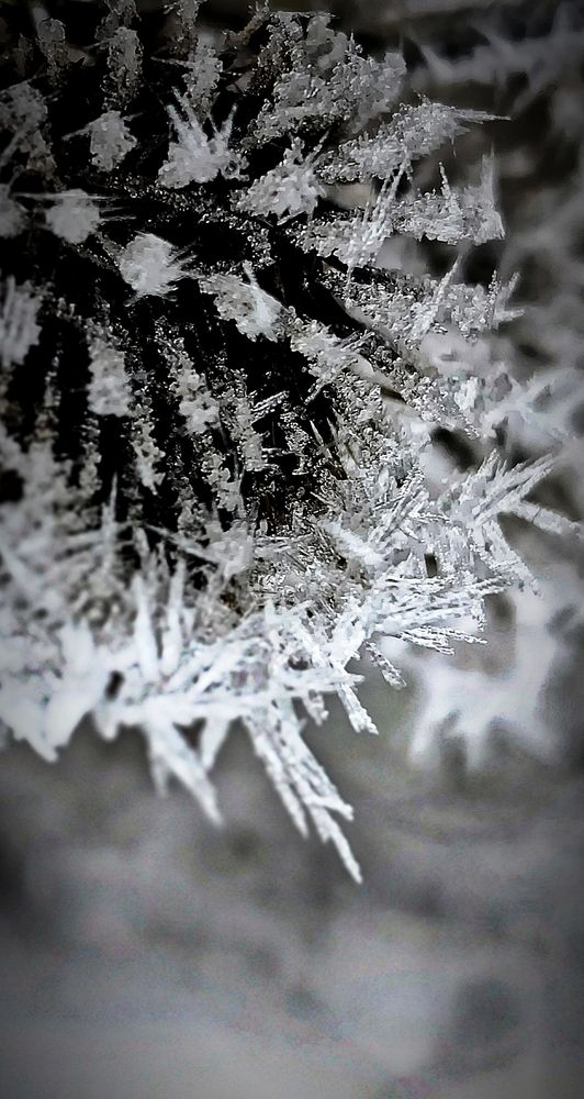 Photograph by Irina Prazdnikova