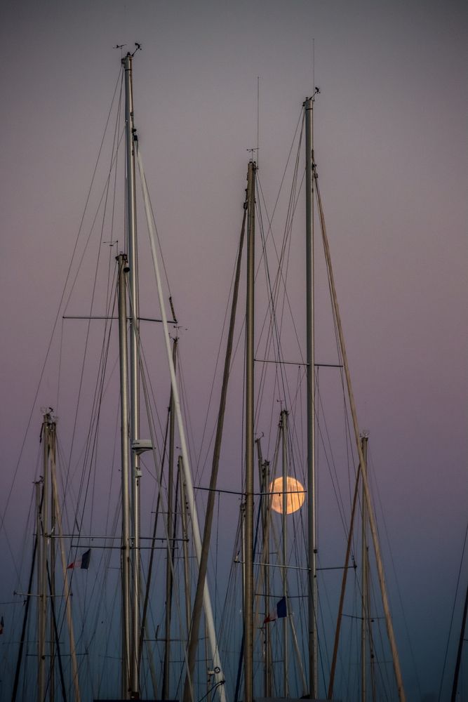 Фотография автора vanessa elbin