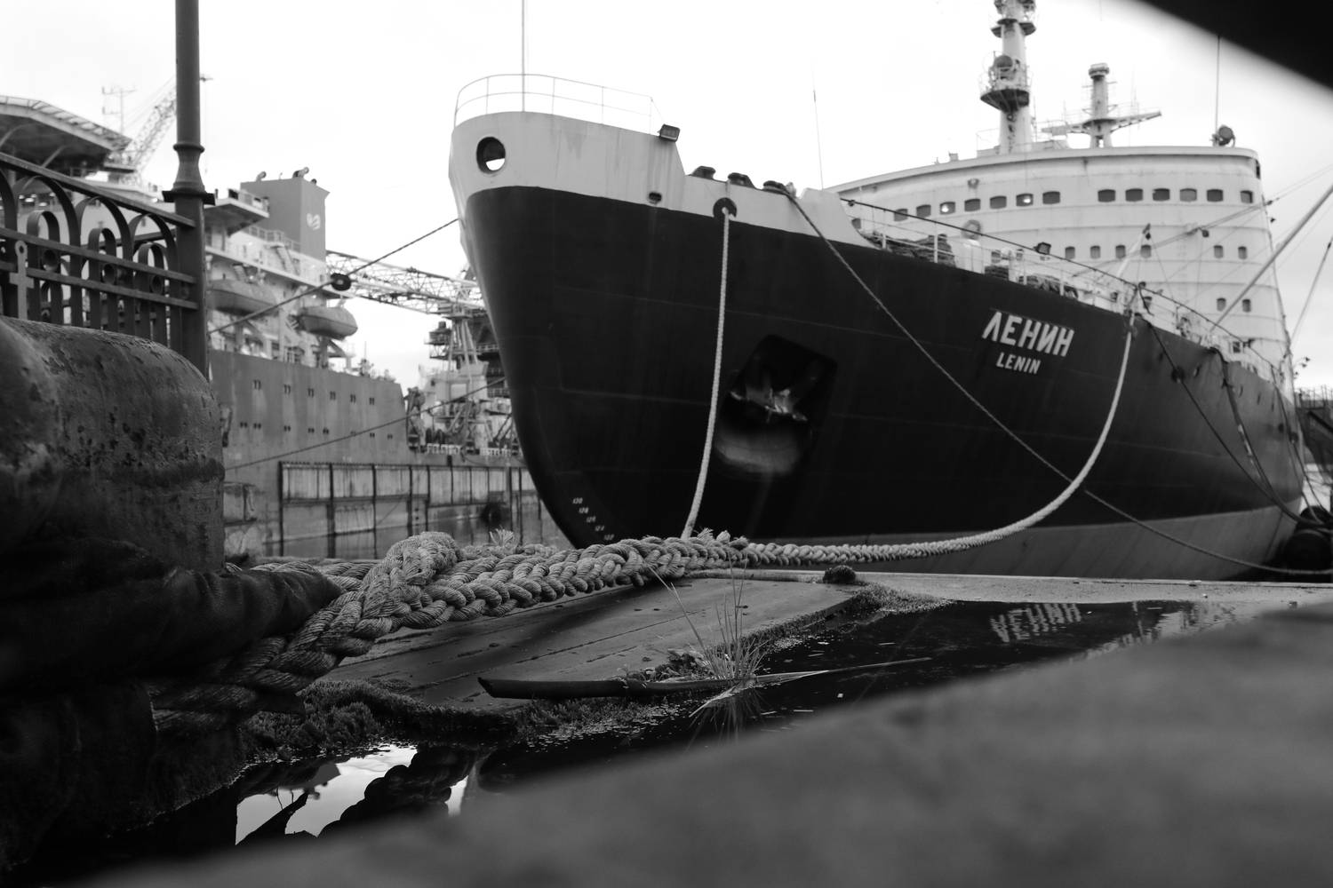 Фотография #12881410