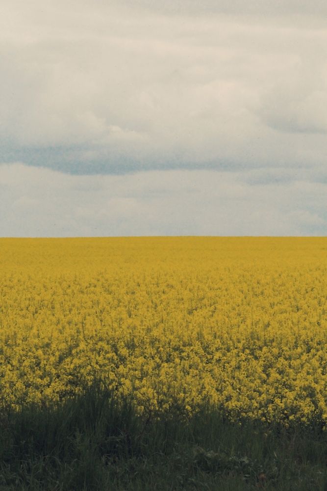 Фотография автора Анна Тищенко