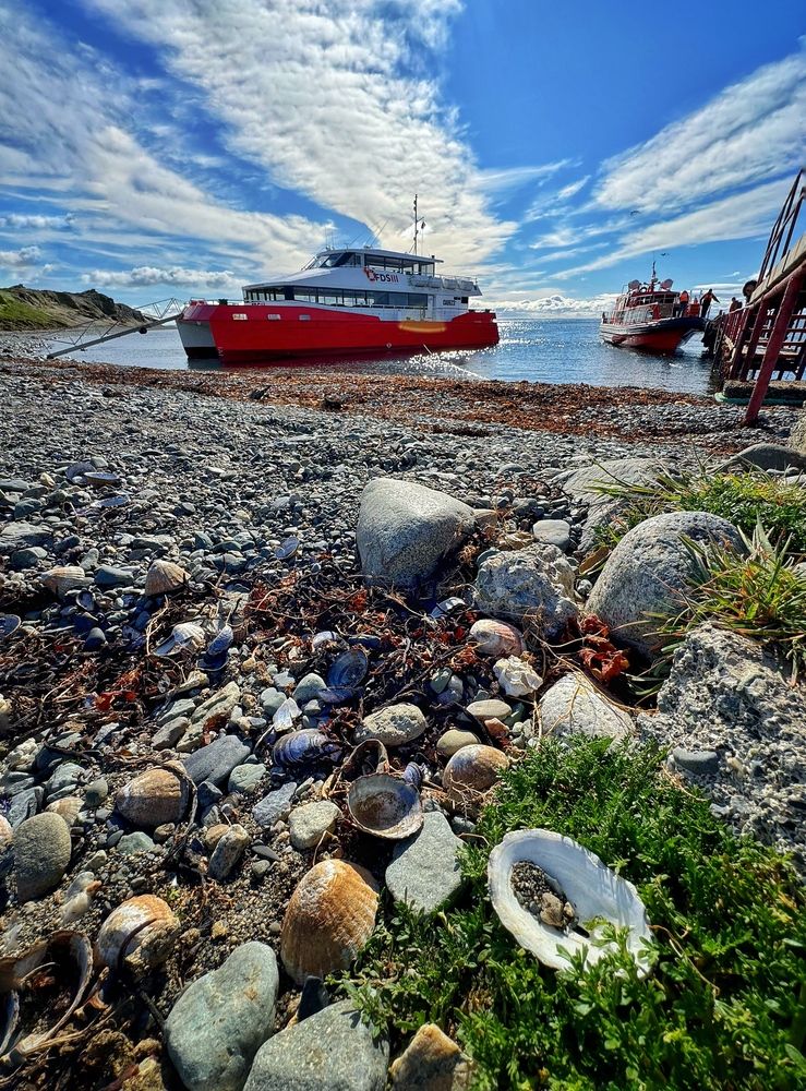 Photograph by Юлия Порфирьева