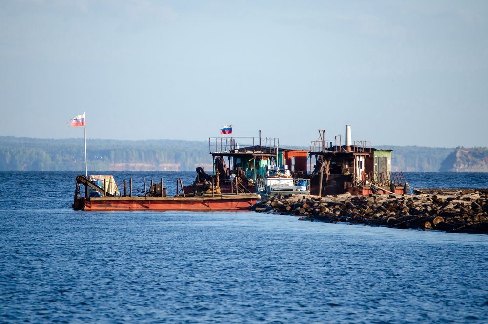 Photograph by Любовь Бусова