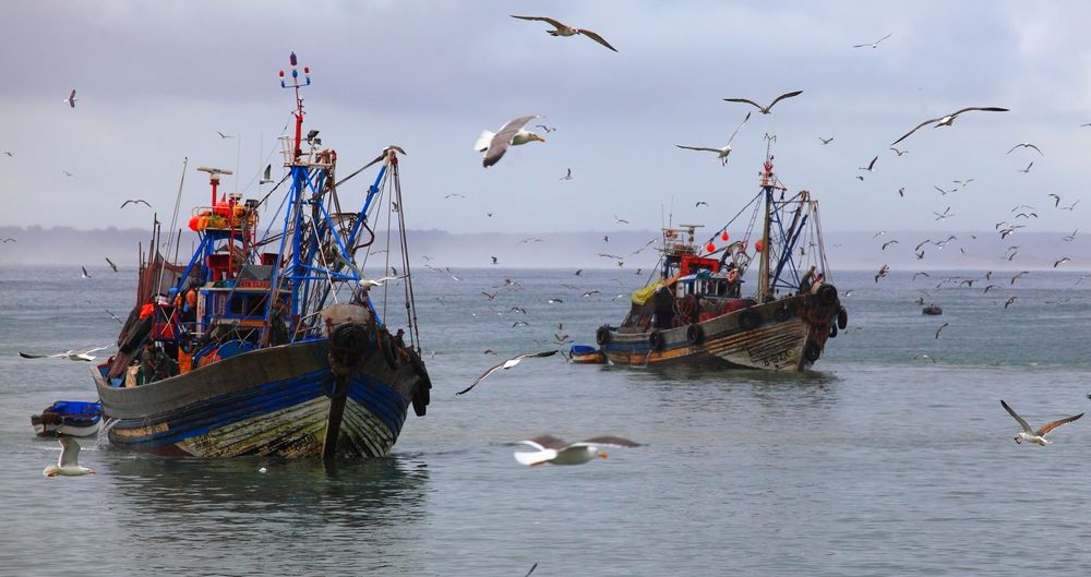 Photograph by ANDREY PERESHEIN