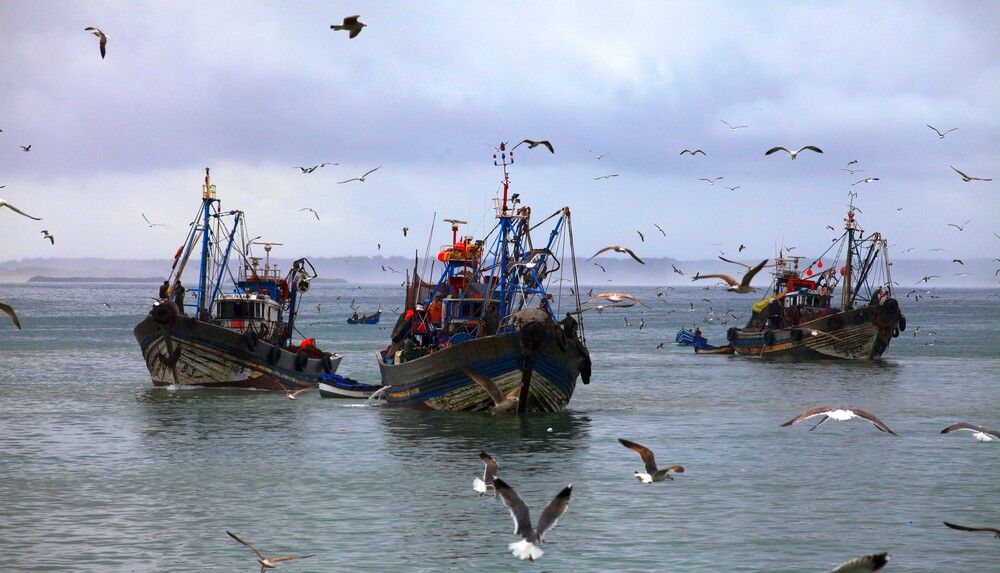 Photograph by ANDREY PERESHEIN