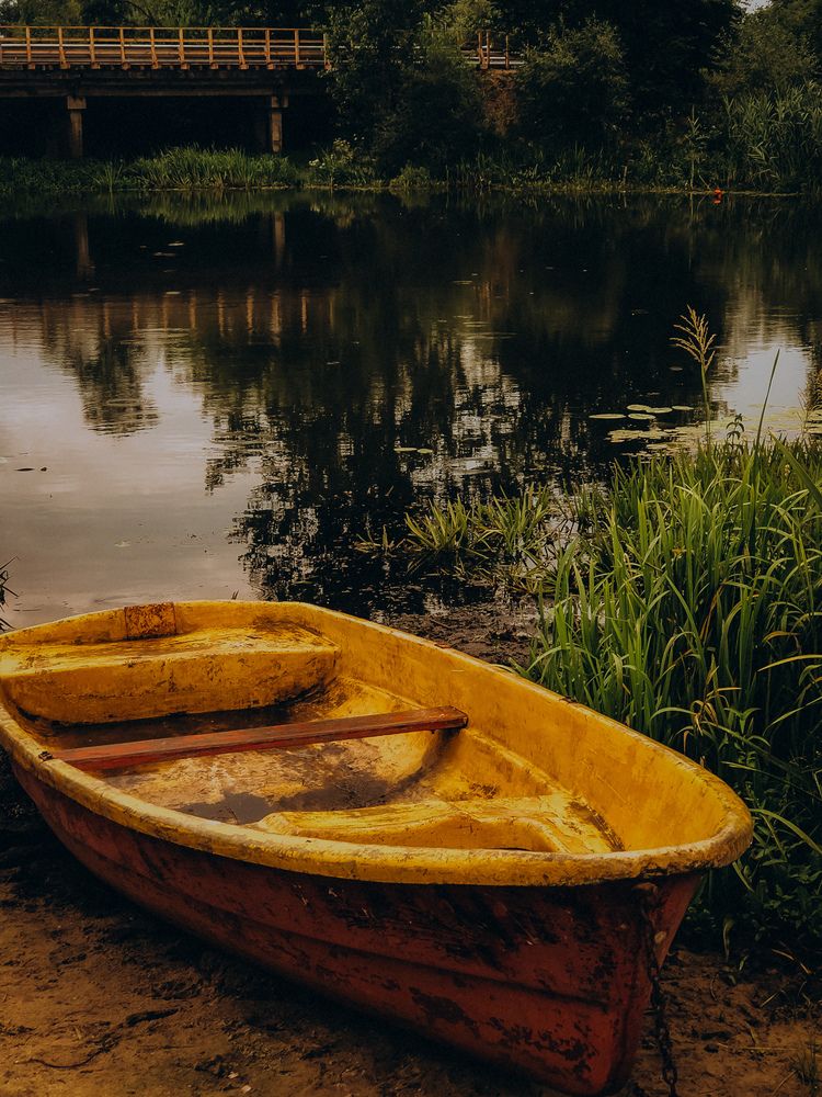 Фотография автора Алиса Исаева