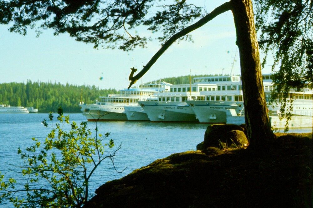 Photograph by Владимир Малёшин