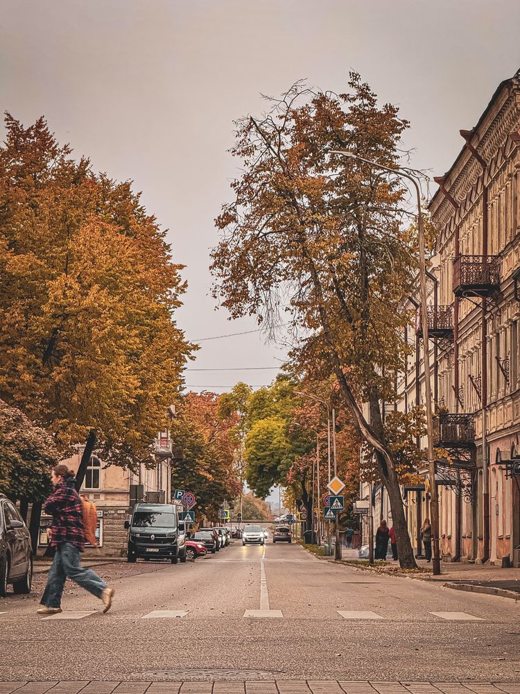 Photograph by Liga Prigoda