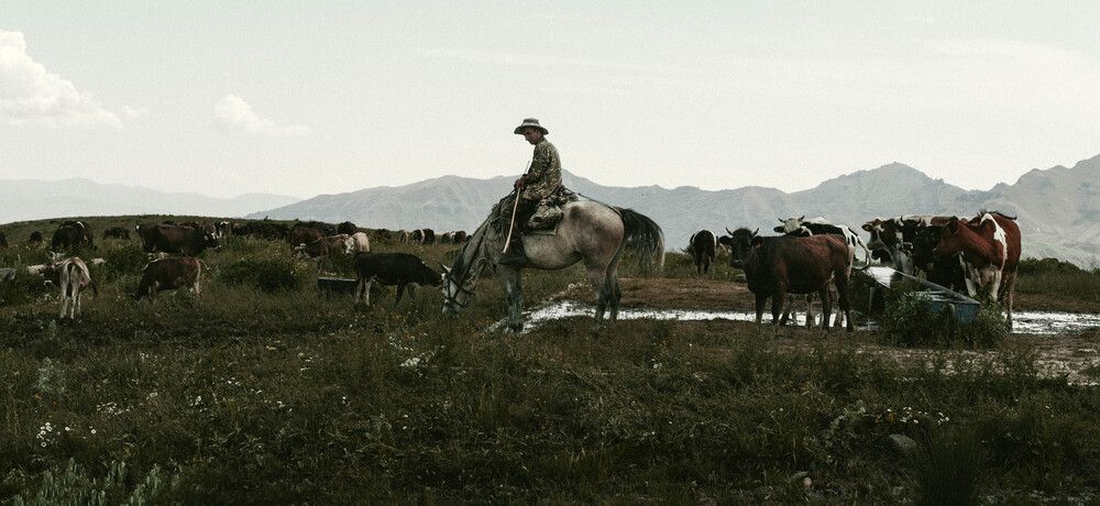 Stillness in the Saddle