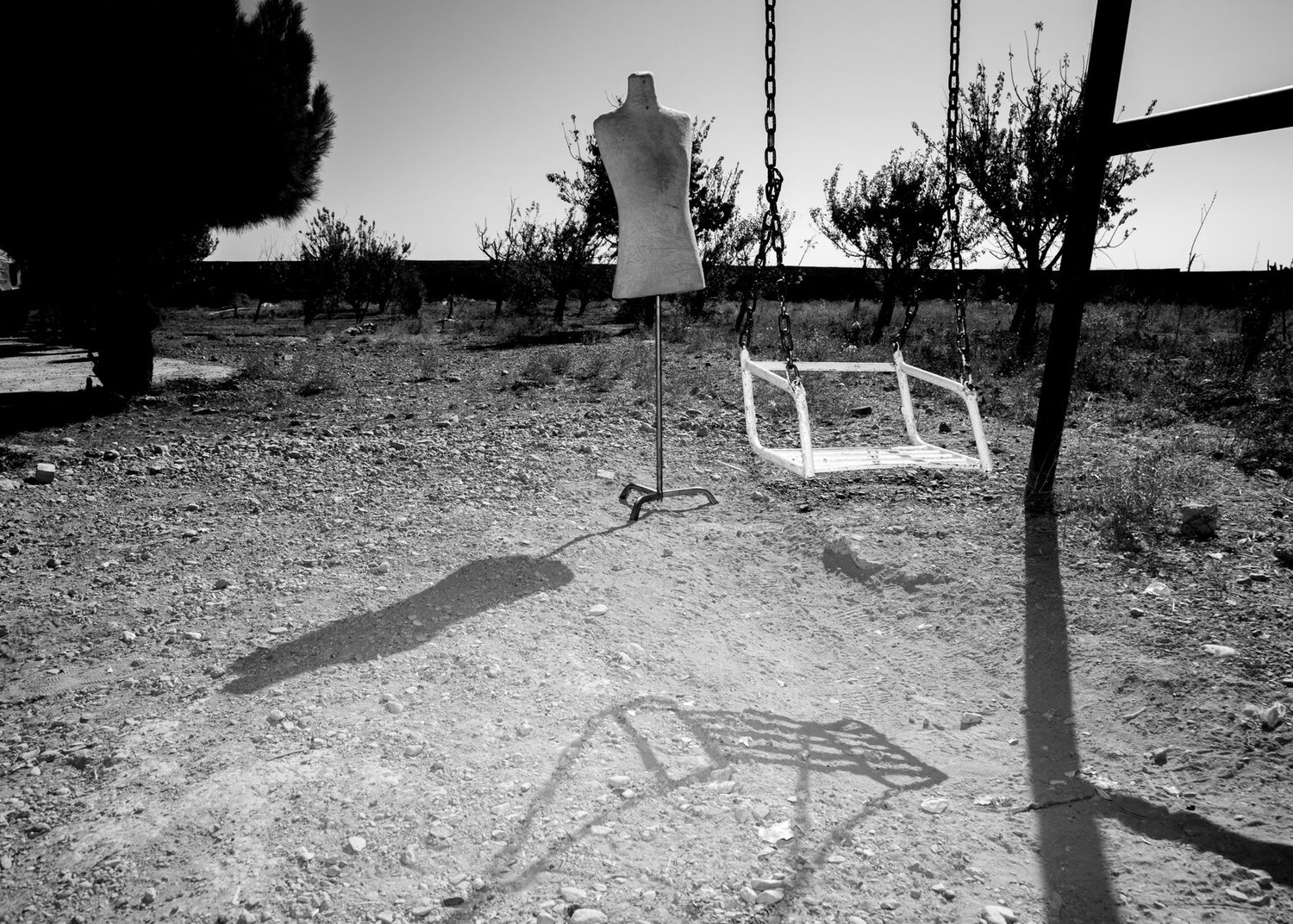 Photo #12881658