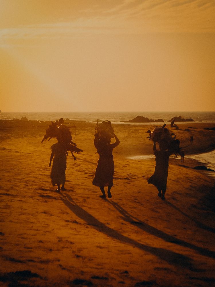 Фотография автора Алиса Исаева