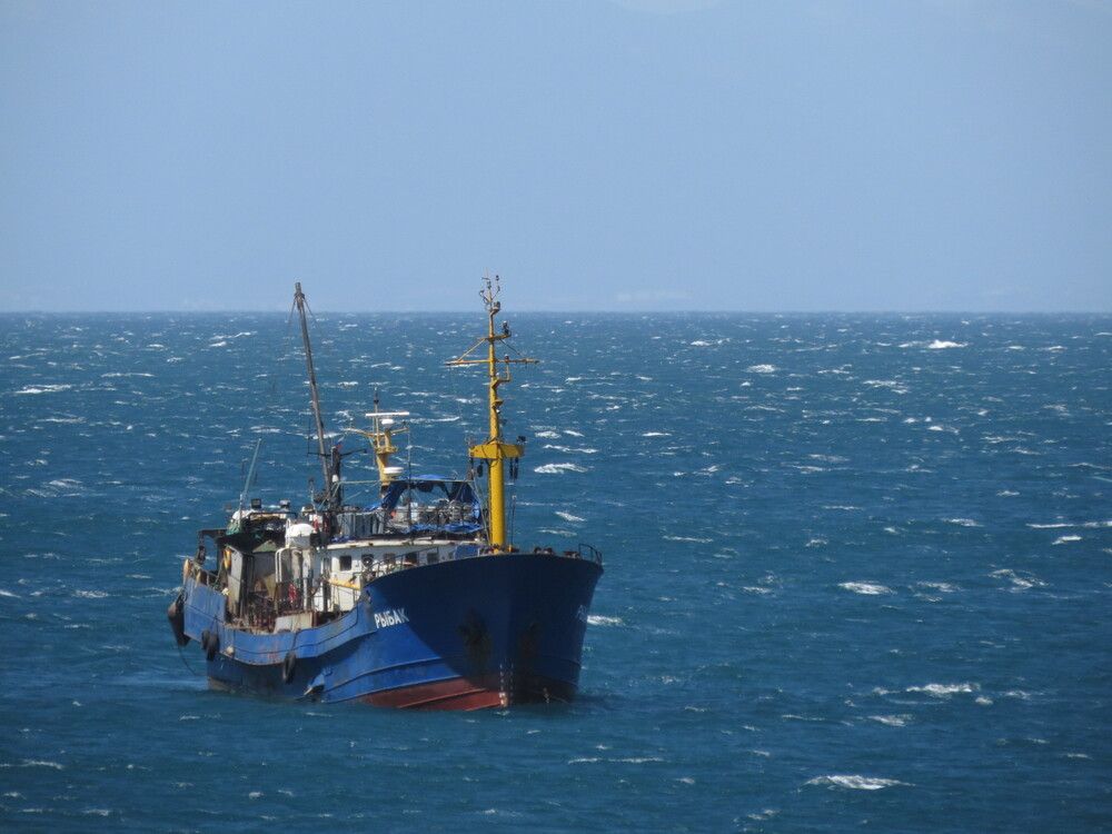 Photograph by Татьяна Стаскевич