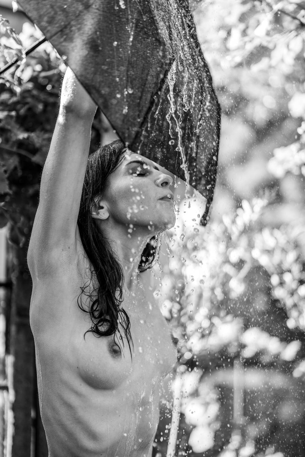 Фотография #12881837