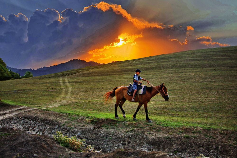 Photograph by Mikail