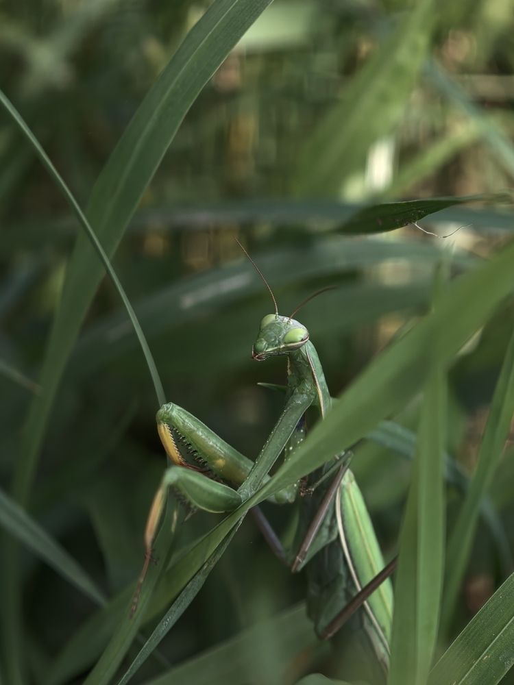 Photograph by Katerina Keshkova