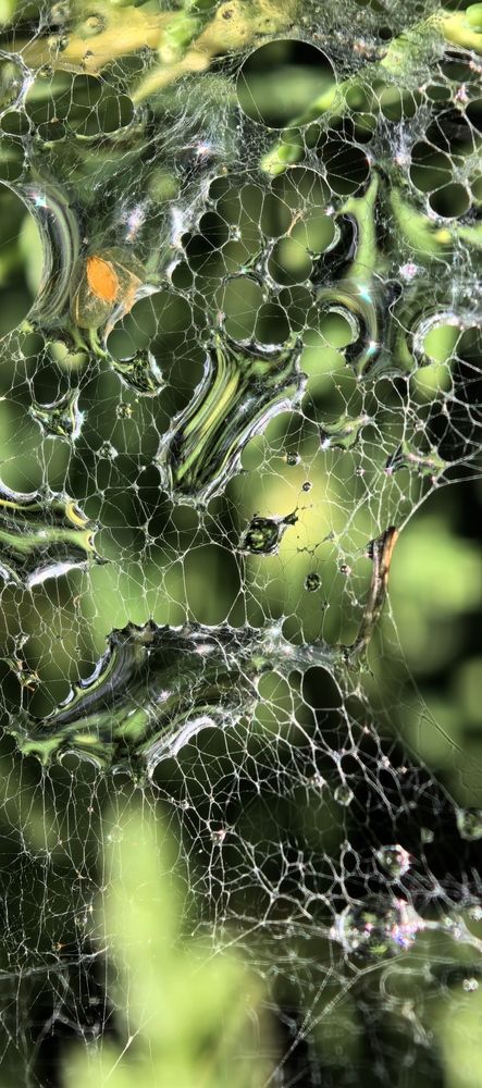 Photograph by Katerina Keshkova