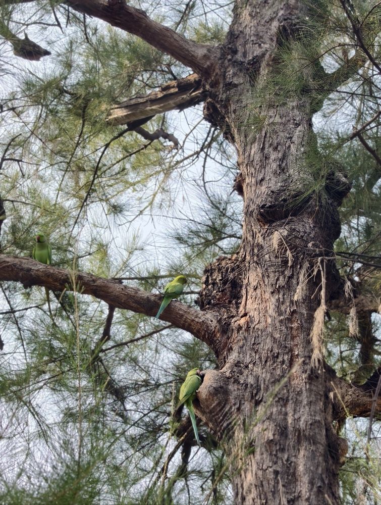Photograph by BHASKAR DAS