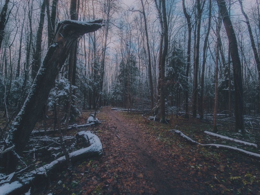 Photograph by Кирилл Сидоров