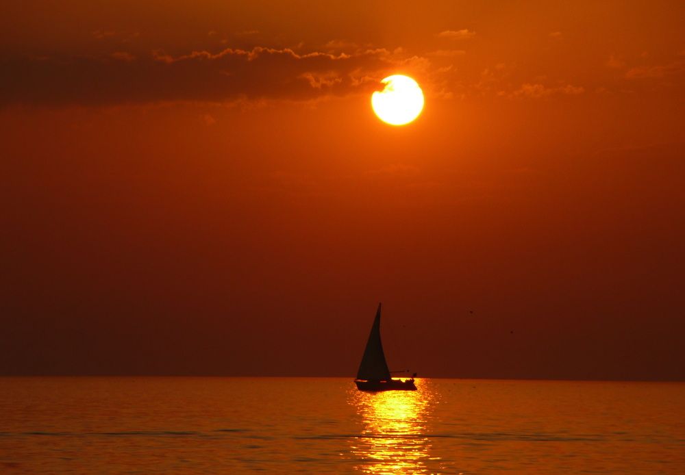 Photograph by Александр Бастраков