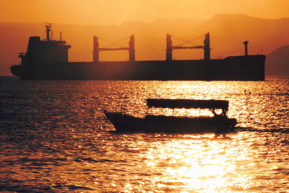 Фотография автора Tahani Almarafi