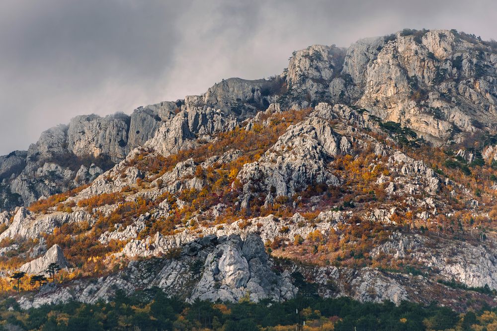 Photograph by Баранов Владимир