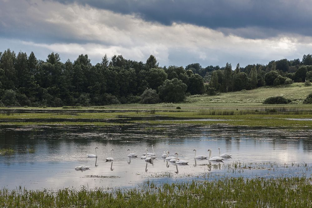 Photograph by Александр Ананьев