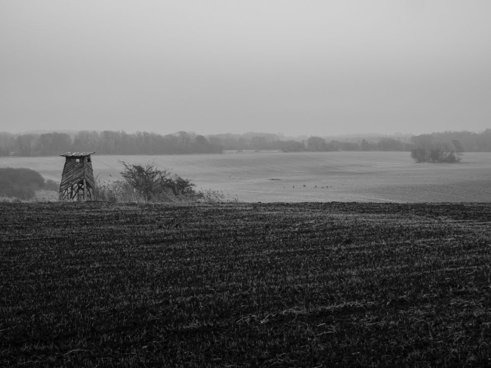 Photograph by Kuba Gal