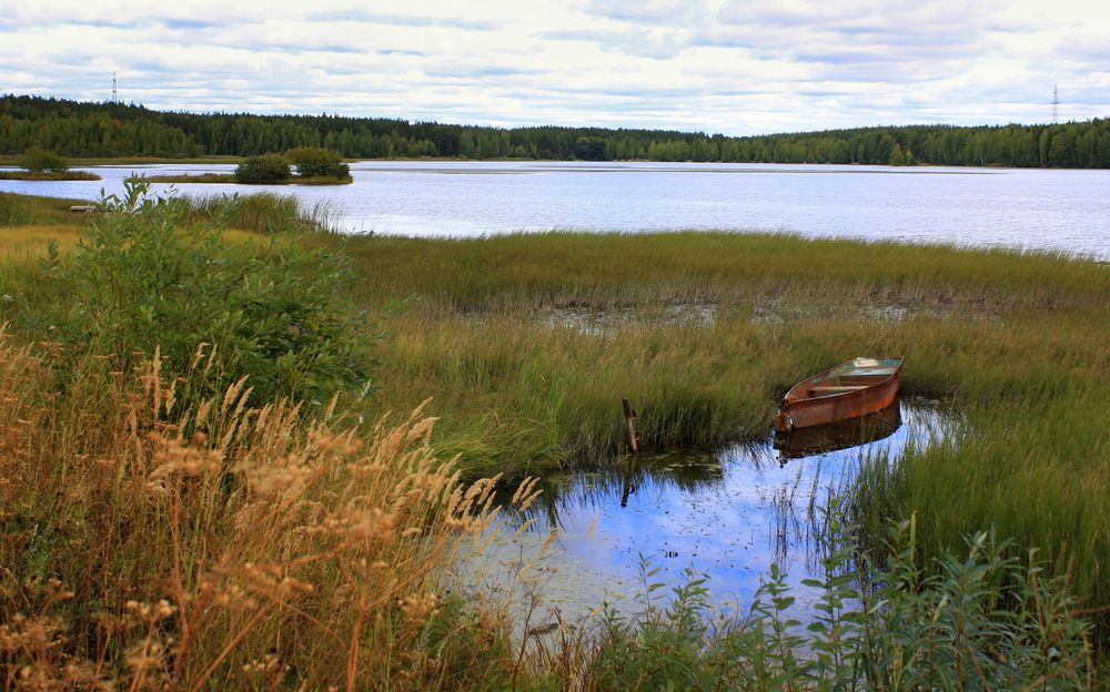 Фотография автора Nelya  Lysenko