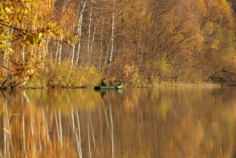 Фотография автора Nelya  Lysenko