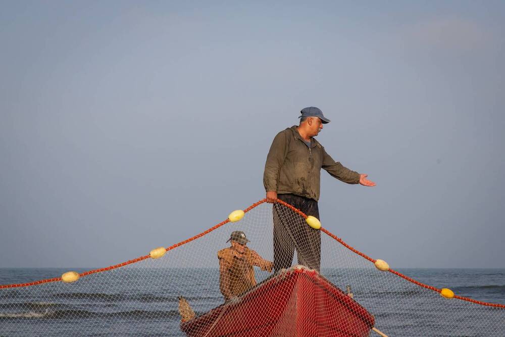 Photograph by Morteza pahang