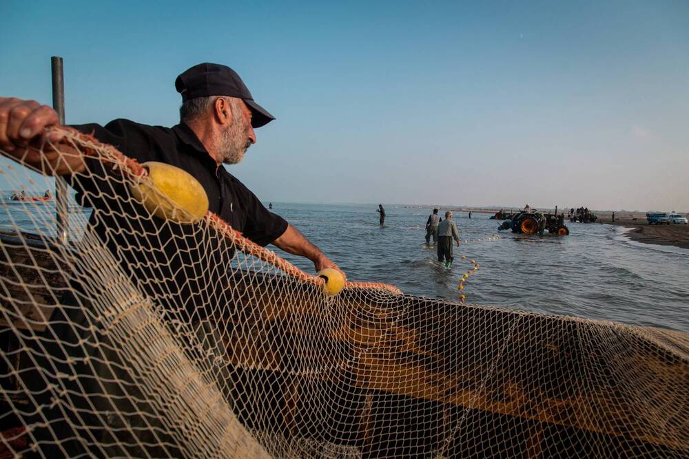 Photograph by Morteza pahang