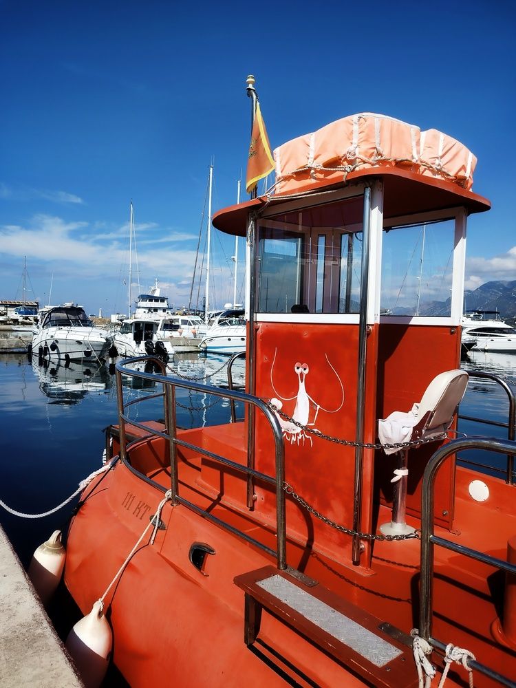 Фотография автора JELENA VASIC