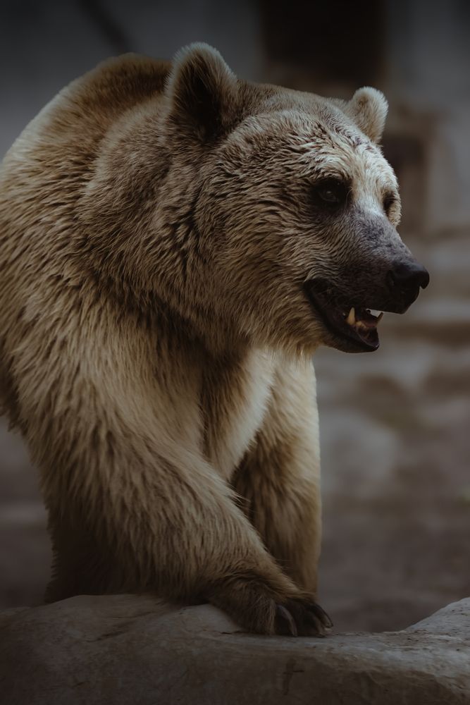 Photograph by Serati Elnaz