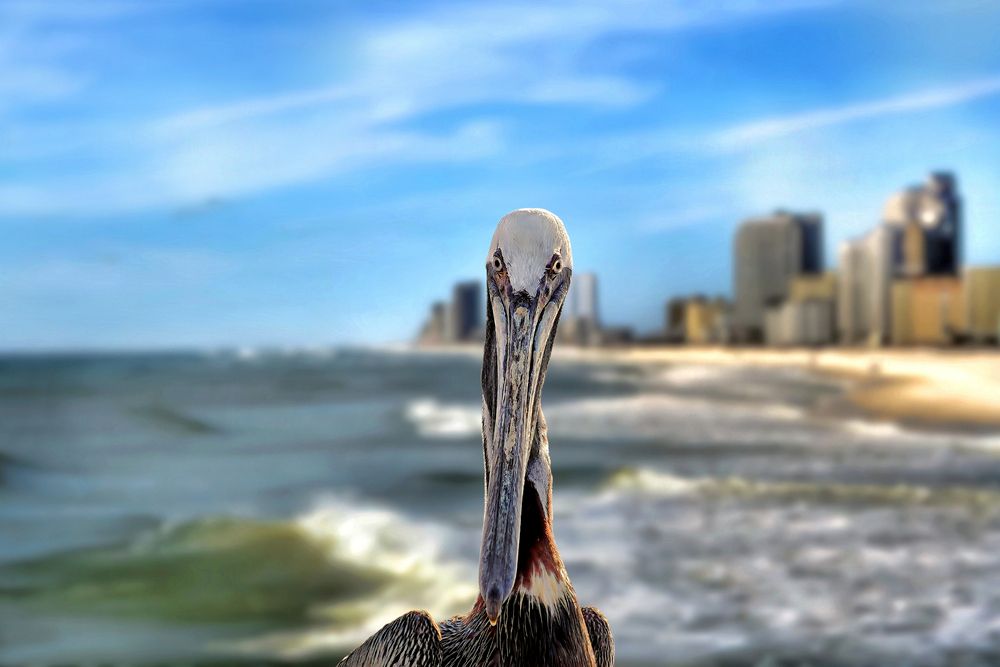 Фотография автора Jeff Cooley