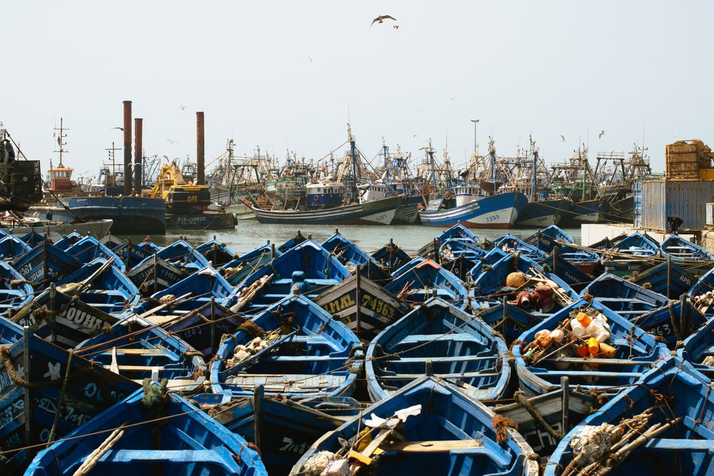 Список кораблей никто не прочтет до конца