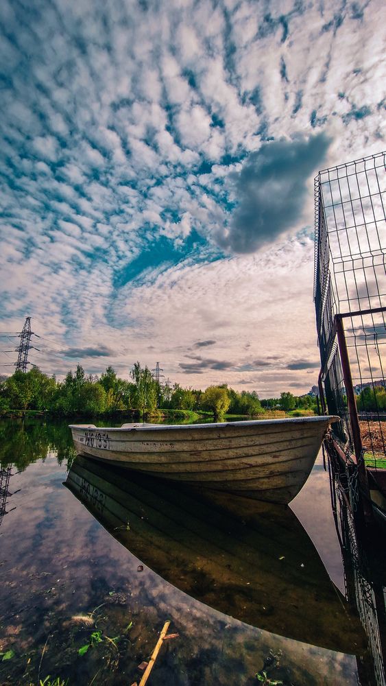 Фотография автора Юлия Киш