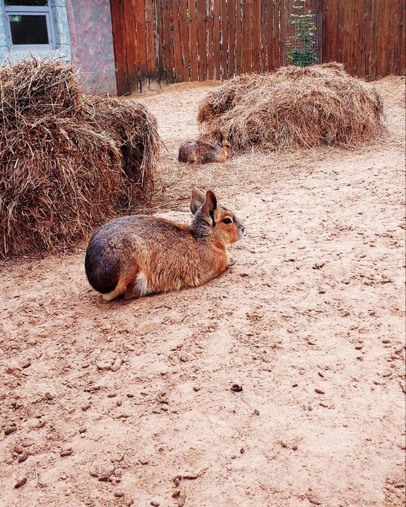 Photograph by Алёна Кувшинова